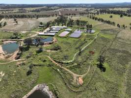 Riverbend Piggery - A dead pile can be spotted at the bottom of the image - Captured at Riverbend, Taabinga QLD Australia.