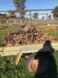 Victorian greyhound racing trainer facility - Captured at VIC.