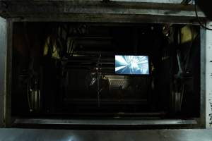 Activist sealed inside gondola in gas chamber - TV screen attached to the outside of the gondola, playing footage captured by a hidden camera inside the gondola. - Captured at Benalla Abattoir, Benalla VIC Australia.