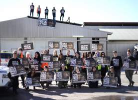 Activists rally outside Benalla slaughterhouse - Holding 'Stop Gassing Pigs for Pork' signs.
Photo by Gav Wheatley - Captured at Benalla Abattoir, Benalla VIC Australia.