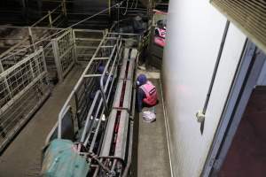 Activists chained in race - Activists shut down Benalla slaughterhouse.
Photo by Catriona Marshall. - Captured at Benalla Abattoir, Benalla VIC Australia.