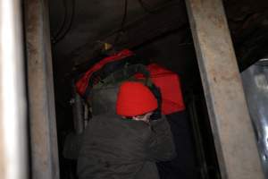 Activist sleeps atop gas chamber gondola - Activists shut down Benalla slaughterhouse.
Photo by Catriona Marshall. - Captured at Benalla Abattoir, Benalla VIC Australia.