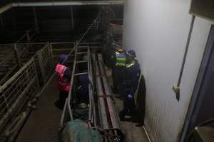 Police speak with activists chained inside race - Activists shut down Benalla slaughterhouse.
Photo by Catriona Marshall. - Captured at Benalla Abattoir, Benalla VIC Australia.