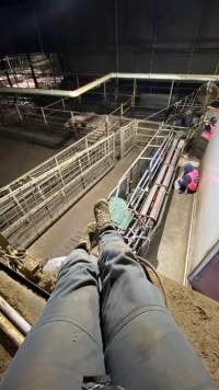 Activist on top of chamber surveys race and holding pens - Activists shut down Benalla slaughterhouse.
Photo by Catriona Marshall. - Captured at Benalla Abattoir, Benalla VIC Australia.