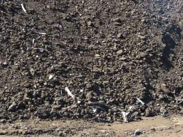 Maydan Feedlot - Bones can be seen in mounds of dirt at this Feedlot - Captured at Maydan Feedlot, Bony Mountain QLD Australia.