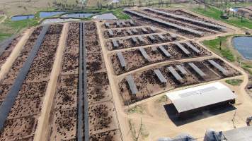 Maydan Feedlot - Aerial view of Maydan Feedlot - Captured at Maydan Feedlot, Bony Mountain QLD Australia.