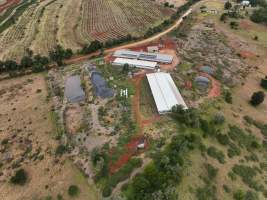 Gjadick Pork - Aerial view of Gjadick Pork. A pig dead pile can also be seen. - Captured at Gjadick Pork, Cushnie QLD Australia.