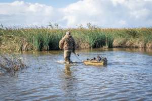 Duck Shooting 2023 - Lake Connewarre - Images from the opening weekend of the 2023 Victorian duck shooting season, near Lake Connewarre, Geelong. - Captured at VIC.