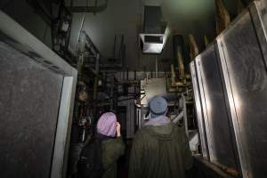 Investigators inside the kill room - Investigators inside the kill room at BMK slaughterhouse. In May and June 2023 investigators from Farm Transparency Project installed hidden cameras over a week to capture footage of pigs being gassed to death. - Captured at BMK Food Slaughterhouse, Murray Bridge East SA Australia.