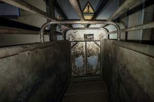 Gondola - The gondola into which pigs are herded to be lowered into the gas chamber. The door leads to the race which pigs are forced up using a painful electric prodder - Captured at BMK Food Slaughterhouse, Murray Bridge East SA Australia.