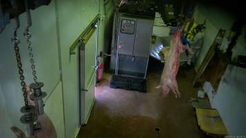 Shackle-line - A pig suspended on the shackle line about to have their throat slit. In the background is the gas chamber which is used to paralyse the pigs before they are hung up and 'stuck' with a knife. - Captured at BMK Food Slaughterhouse, Murray Bridge East SA Australia.