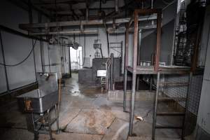 Overview of slaughterhouse kill room - Captured at Menzel's Meats, Kapunda SA Australia.