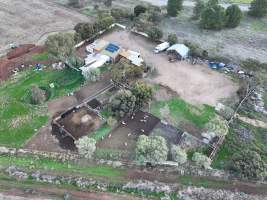 Drone flyover of slaughterhouse - Captured at Snowtown Abattoir, Snowtown SA Australia.