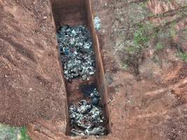 Drone flyover of slaughterhouse dead pit - Captured at Snowtown Abattoir, Snowtown SA Australia.