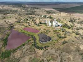 Aerial view of Albar Piggery - Captured at Albar Piggery, Dalby QLD Australia.