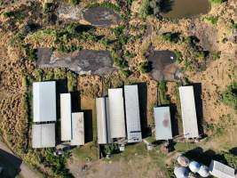 Aerial view of Barron Piggery and Feedlot - Captured at Barron Piggery & Cow Feedlot, Bell QLD Australia.