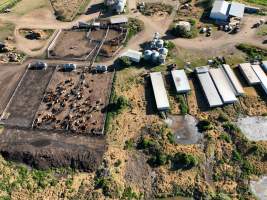 Aerial view of Barron Piggery and Feedlot - Captured at Barron Piggery & Cow Feedlot, Bell QLD Australia.