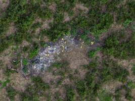 Old dead pile at Piggery - Captured at Brentwood Piggery, Kaimkillenbun QLD Australia.