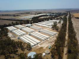 DA Hall & Co Egg Farm - Aerial view of one of the largest poultry farms in Australia. - Captured at DA Hall & Co, Yandilla QLD Australia.