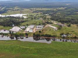 Wilrose Piggery - Aerial view of 'Wilrose' Piggery. - Captured at Wilrose Piggery, Netherby QLD Australia.