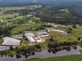 Wilrose Piggery - Aerial view of 'Wilrose' Piggery. - Captured at Wilrose Piggery, Netherby QLD Australia.