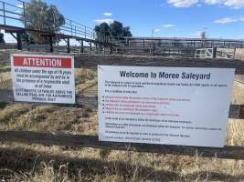 Decrepit conditions of abandoned Saleyard - Captured at Moree Saleyards, Moree NSW Australia.