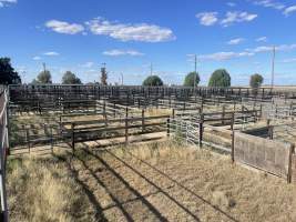 Decrepit conditions of abandoned Saleyard - Captured at Moree Saleyards, Moree NSW Australia.