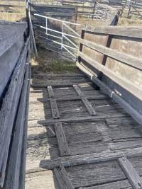 Decrepit conditions of abandoned Saleyard - Captured at Moree Saleyards, Moree NSW Australia.