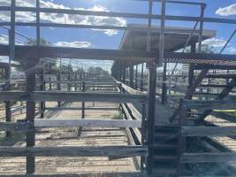 Decrepit conditions of abandoned Saleyard - Captured at Moree Saleyards, Moree NSW Australia.