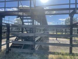 Decrepit conditions of abandoned Saleyard - Captured at Moree Saleyards, Moree NSW Australia.