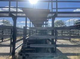 Decrepit conditions of abandoned Saleyard - Captured at Moree Saleyards, Moree NSW Australia.