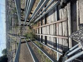 Decrepit conditions of abandoned Saleyard - Captured at Moree Saleyards, Moree NSW Australia.