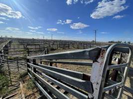 Decrepit conditions of abandoned Saleyard - Captured at Moree Saleyards, Moree NSW Australia.