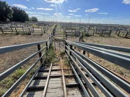 Decrepit conditions of abandoned Saleyard - Captured at Moree Saleyards, Moree NSW Australia.