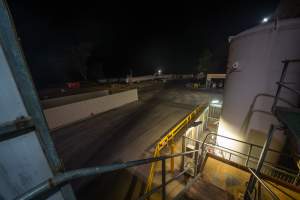 View from top of staircase - Looking out over the driveway and trees at the side of the slaughterhouse. The tall white gas cylinder containing carbon dioxide can be seen on the right. - Captured at Corowa Slaughterhouse, Redlands NSW Australia.