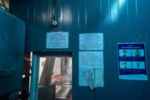 Instructions for CO2 breakdowns - Printed signage gives instructions in the event of a failure of the carbon dioxide gas stunning. - Captured at Corowa Slaughterhouse, Redlands NSW Australia.