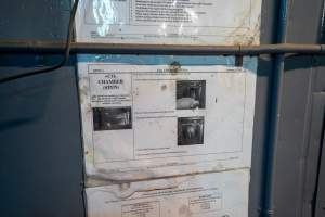 Instructions for gassing pigs in the gas chamber - On the bottom page, a note reads 'The use of electric prodders is only permissible if used sparingly and only used at the forcing pen into the CO2 chamber.' In the hidden camera footage, workers can be seen routinely using the electric prodder on most pigs. - Captured at Corowa Slaughterhouse, Redlands NSW Australia.