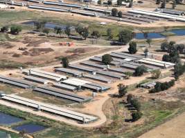 Drone flyover of piggery - Captured at Corowa Piggery & Abattoir, Redlands NSW Australia.