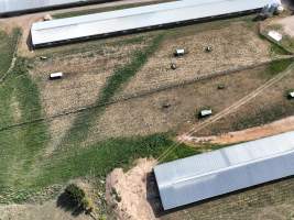Drone Photos - Captured at Premier Farms, Portland NSW Australia.