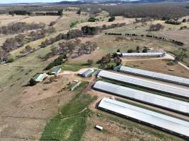 Drone Photos - Captured at Premier Farms, Portland NSW Australia.