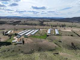 Drone Photos - Captured at Premier Farms, Portland NSW Australia.