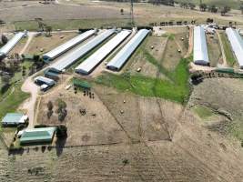 Drone Photos - Captured at Premier Farms, Portland NSW Australia.