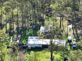 Captured at Greyhounds - Blaster Park - breeder, Sandy Crossing NSW Australia.