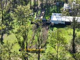 Captured at Greyhounds - Blaster Park - breeder, Sandy Crossing NSW Australia.