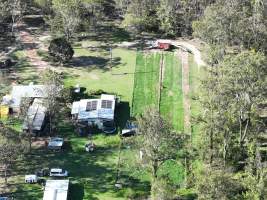 Captured at Greyhounds - Blaster Park - breeder, Sandy Crossing NSW Australia.