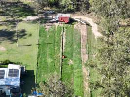 Captured at Greyhounds - Blaster Park - breeder, Sandy Crossing NSW Australia.