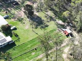 Captured at Greyhounds - Blaster Park - breeder, Sandy Crossing NSW Australia.