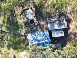 Captured at Greyhounds - Blaster Park - breeder, Sandy Crossing NSW Australia.