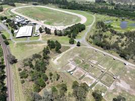 Captured at Menangle Race Course, Menangle Park NSW Australia.