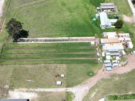 Captured at Macarthur Park Education Kennels, Werombi NSW Australia.